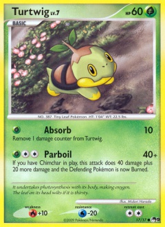 Turtwig OP9